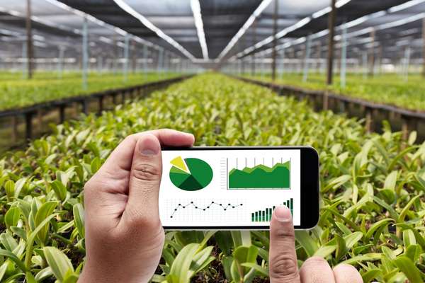 MBA Agri Business Management